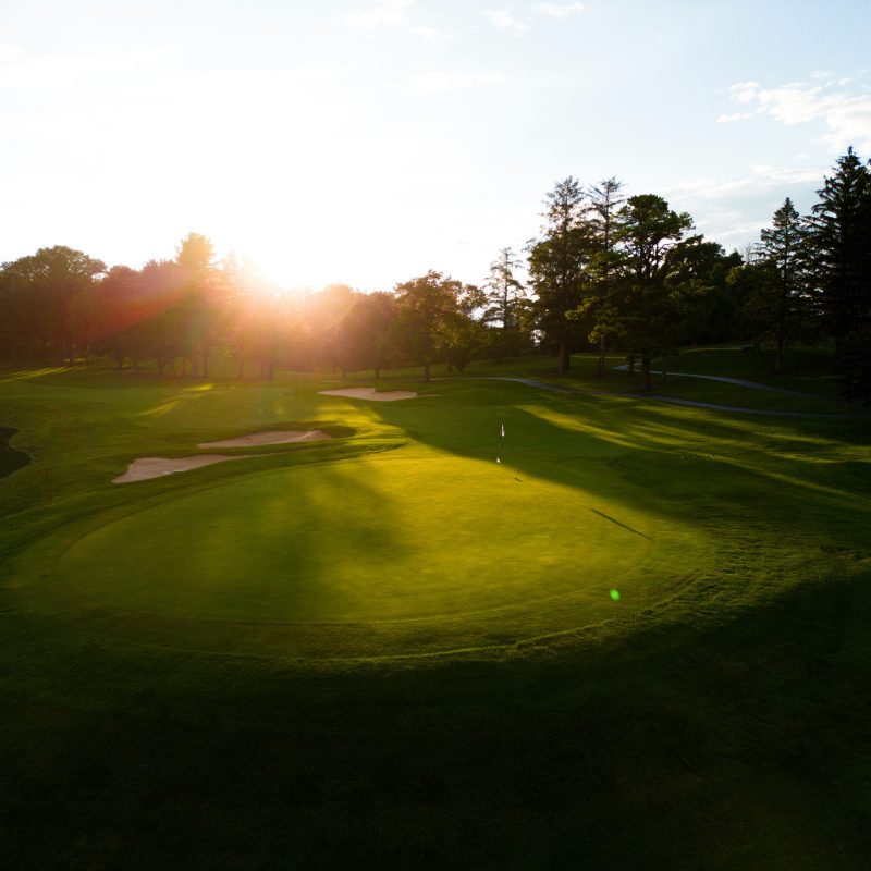 The Champion’s Edge – All the Perks, All the Fun!